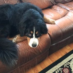 Meet your Posher, Elena